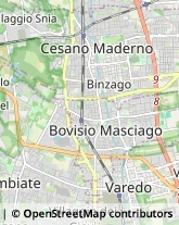 Palestre e Centri Fitness Bovisio-Masciago,20813Monza e Brianza