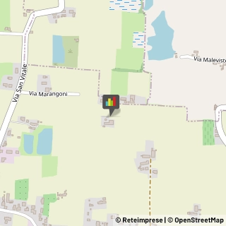 Aziende Agricole,31059Treviso