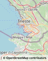 Parrucchieri Trieste,34145Trieste