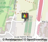 Frutta e Verdura - Dettaglio Vimercate,20871Monza e Brianza