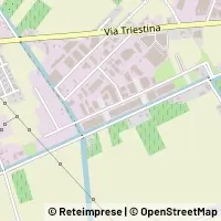 Map Musile di Piave