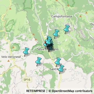 Mappa Via Trento, 37030 Selva di Progno VR, Italia (0.76842)