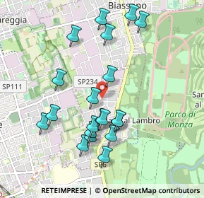 Mappa Via Giosuè Carducci, 20854 Vedano al Lambro MB, Italia (0.941)