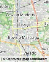 Osteopatia Bovisio-Masciago,20813Monza e Brianza