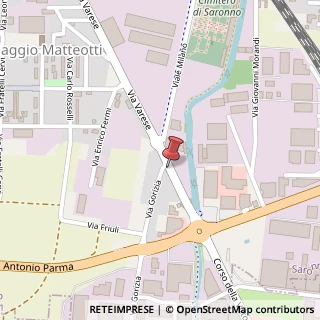 Mappa Via Varese, 24, 21047 Cesate, Milano (Lombardia)