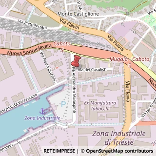 Mappa Via dei Cosulich Natale, 9, 34148 Trieste, Trieste (Friuli-Venezia Giulia)