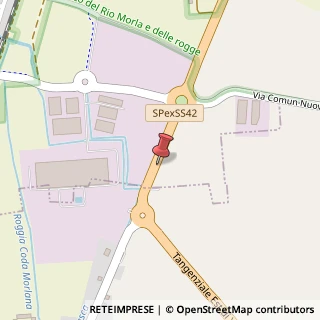 Mappa Via Strada Statale 42, 27, 24040 Levate, Bergamo (Lombardia)