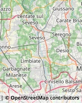 Coppe e Trofei - Dettaglio Lissone,20851Monza e Brianza