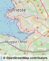 Imprese Edili Trieste,34146Trieste