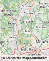 Articoli Carnevaleschi e per Feste Desio,20832Monza e Brianza