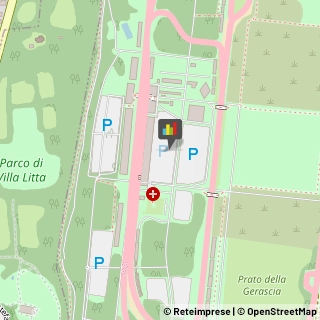 Autoveicoli Elettrici,20900Monza e Brianza