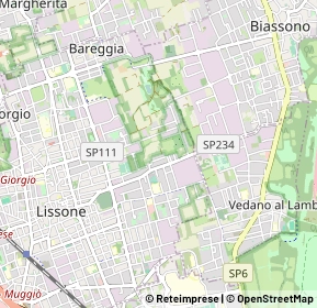 Mappa 20046 Lissone MB, Italia (0.7125)
