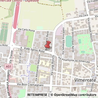 Mappa Via I. Rota, 8, 20871 Vimercate, Monza e Brianza (Lombardia)