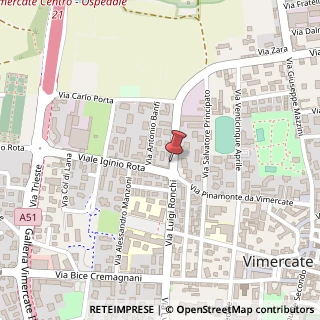 Mappa Via V. Pellizzari, 38, 20871 Vimercate, Monza e Brianza (Lombardia)