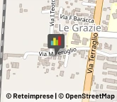 Aziende Agricole,31022Treviso
