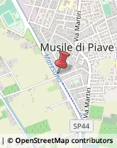 Via Case Bianche, 22,30024Musile di Piave