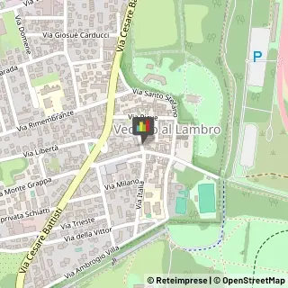Biciclette - Accessori e Parti Vedano al Lambro,20854Monza e Brianza