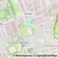 Map Vedano al Lambro