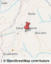 Frazione Rosa, 10,13841Selve Marcone