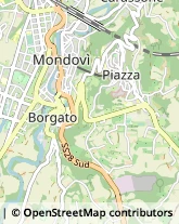 Autotrasporti Mondovì,12084Cuneo