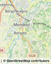 Autotrasporti Mondovì,12084Cuneo