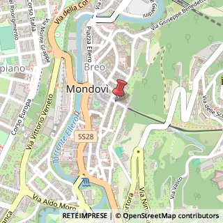 Mappa Via della Funicolare, 1/A, 12084 Mondovì, Cuneo (Piemonte)