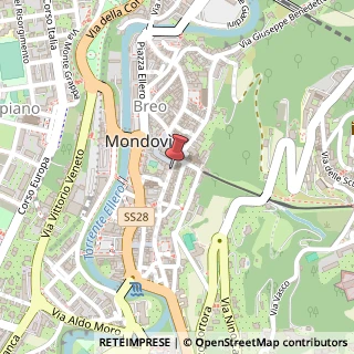 Mappa Via Sant'Agostino, 22, 12084 Mondovì, Cuneo (Piemonte)