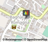 Locande e Camere Ammobiliate,48032Ravenna