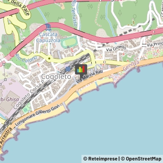 Amministrazioni Immobiliari Cogoleto,16016Genova