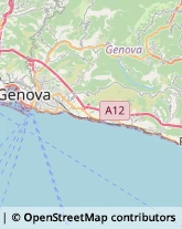 Agenzie di Animazione e Spettacolo Chiavari,16043Genova