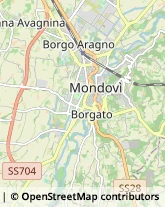 Commercialisti Mondovì,12084Cuneo