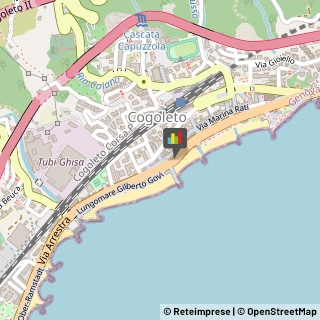 Amministrazioni Immobiliari Cogoleto,16016Genova