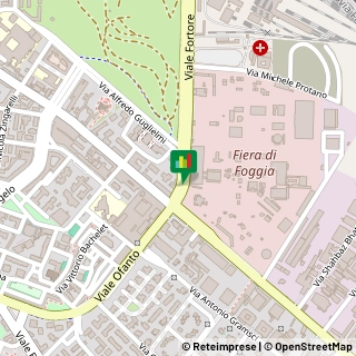 Viale Fortore, 56,71121Foggia
