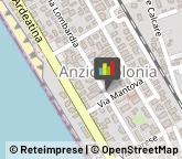 Palestre e Centri Fitness,00042Roma
