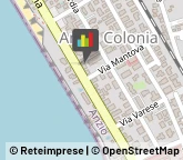 Locali, Birrerie e Pub,00042Roma