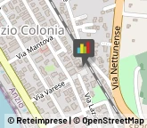 Palestre e Centri Fitness,00042Roma