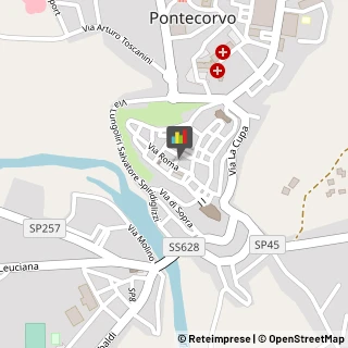 Ragionieri e Periti Commerciali - Studi Pontecorvo,03037Frosinone