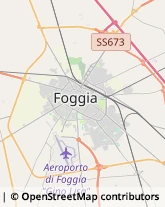 Comuni e Servizi Comunali Foggia,71121Foggia