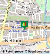 Via Palermo, 29,00048Nettuno