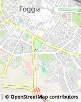 Articoli da Regalo - Produzione e Ingrosso Foggia,71121Foggia