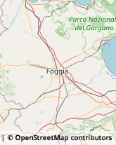 Articoli da Regalo - Produzione e Ingrosso Orta Nova,71045Foggia