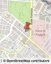 Via Luigi Treggiari, 28,71121Foggia