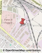 Via Giacomo Cosmano, 57,71122Foggia