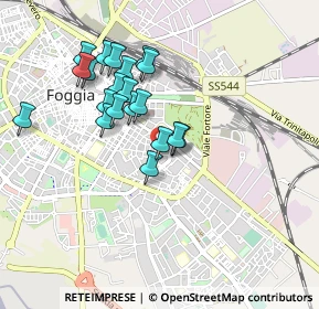 Mappa Via Nicola Zingarelli, 71121 Foggia FG, Italia (0.861)