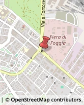 Corso del Mezzogiorno, 34 B/8,71100Foggia