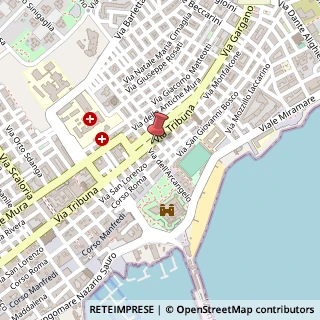 Mappa Via Ettore Fieramosca, 46, 71043 Manfredonia, Foggia (Puglia)