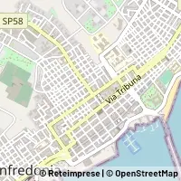 지도 Manfredonia