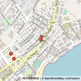 Mappa Via Gargano, 11C, 71043 Manfredonia, Foggia (Puglia)