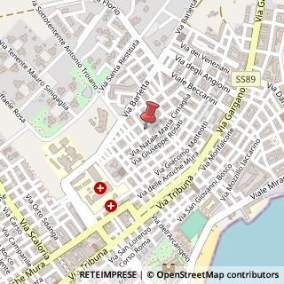 Mappa Via Matteo Fraccacreta,  29, 71043 Manfredonia, Foggia (Puglia)