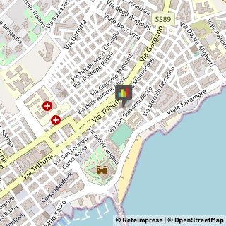 Asili Nido,71043Foggia